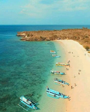 PINK PARADISE & SOUTHERN COAST ESCAPE