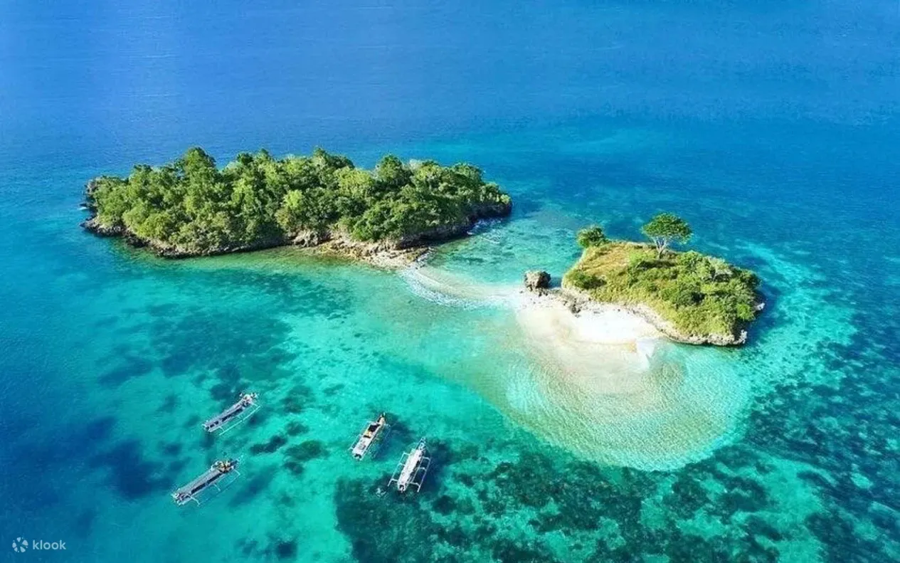PINK PARADISE & SOUTHERN COAST ESCAPE
