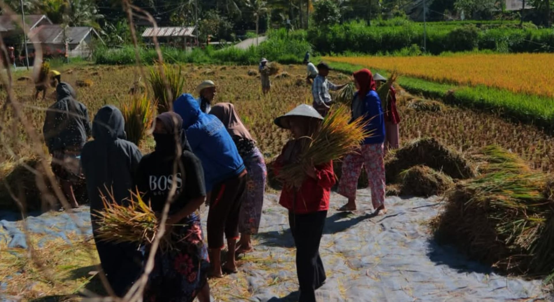 TETEBATU SOUL & SASAK HERITAGE EXPERIENCE