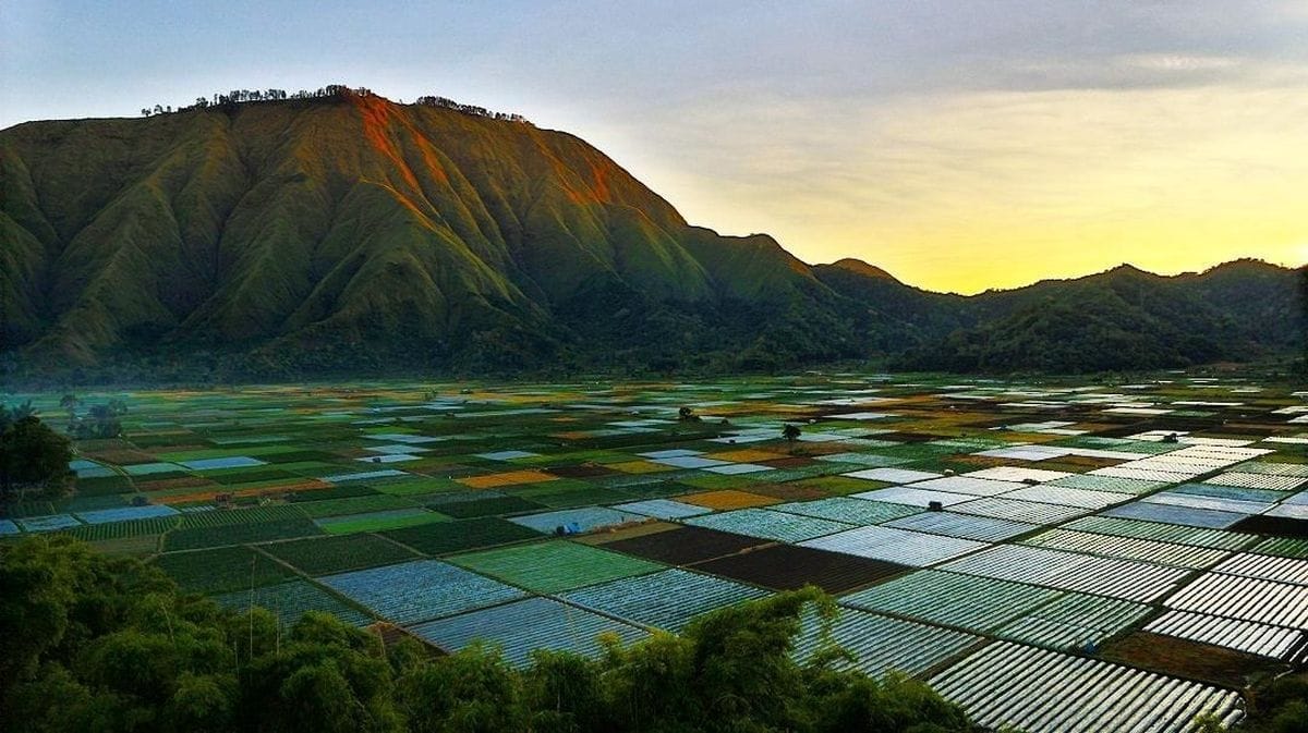 Keindahan Bukit Selong Lombok yang Tak Boleh Dilewatkan Saat Liburan