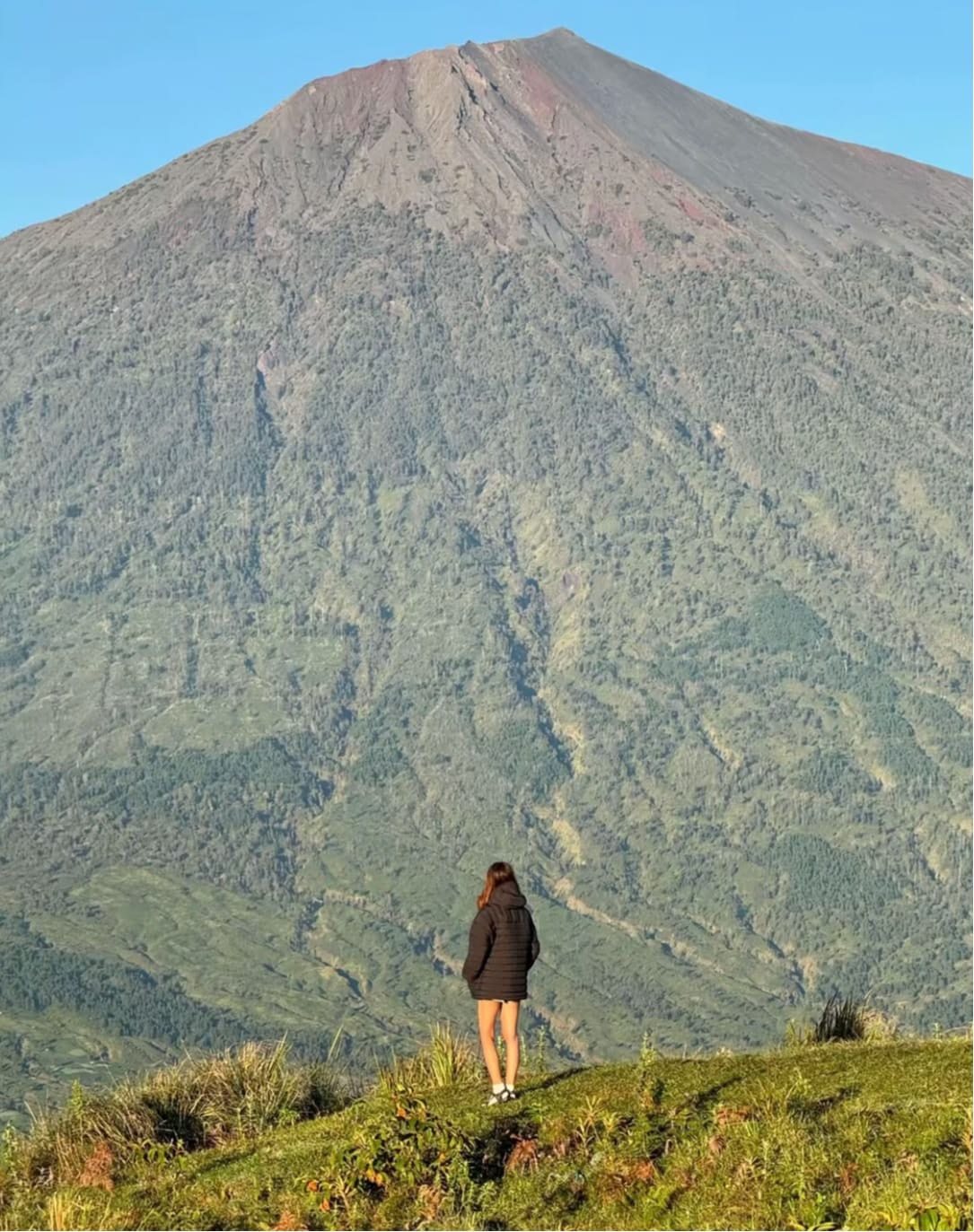 kebun petik strawberry sembalun, desa adat beleq sembalun, kopi sembalun lombok