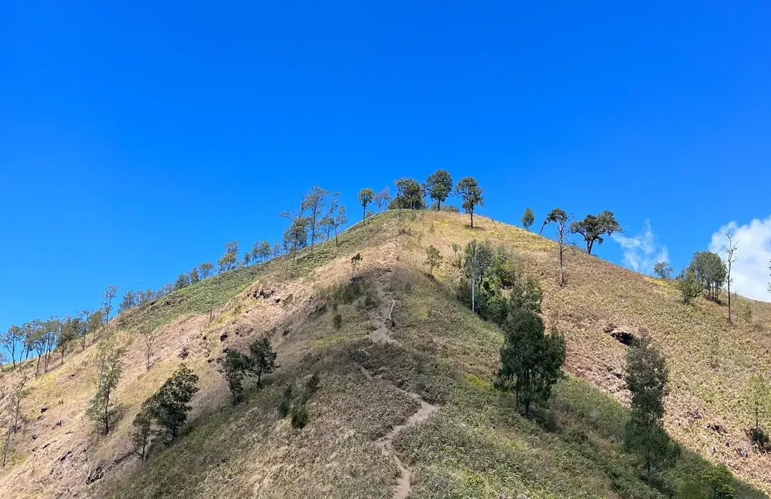 Bukit Gedong