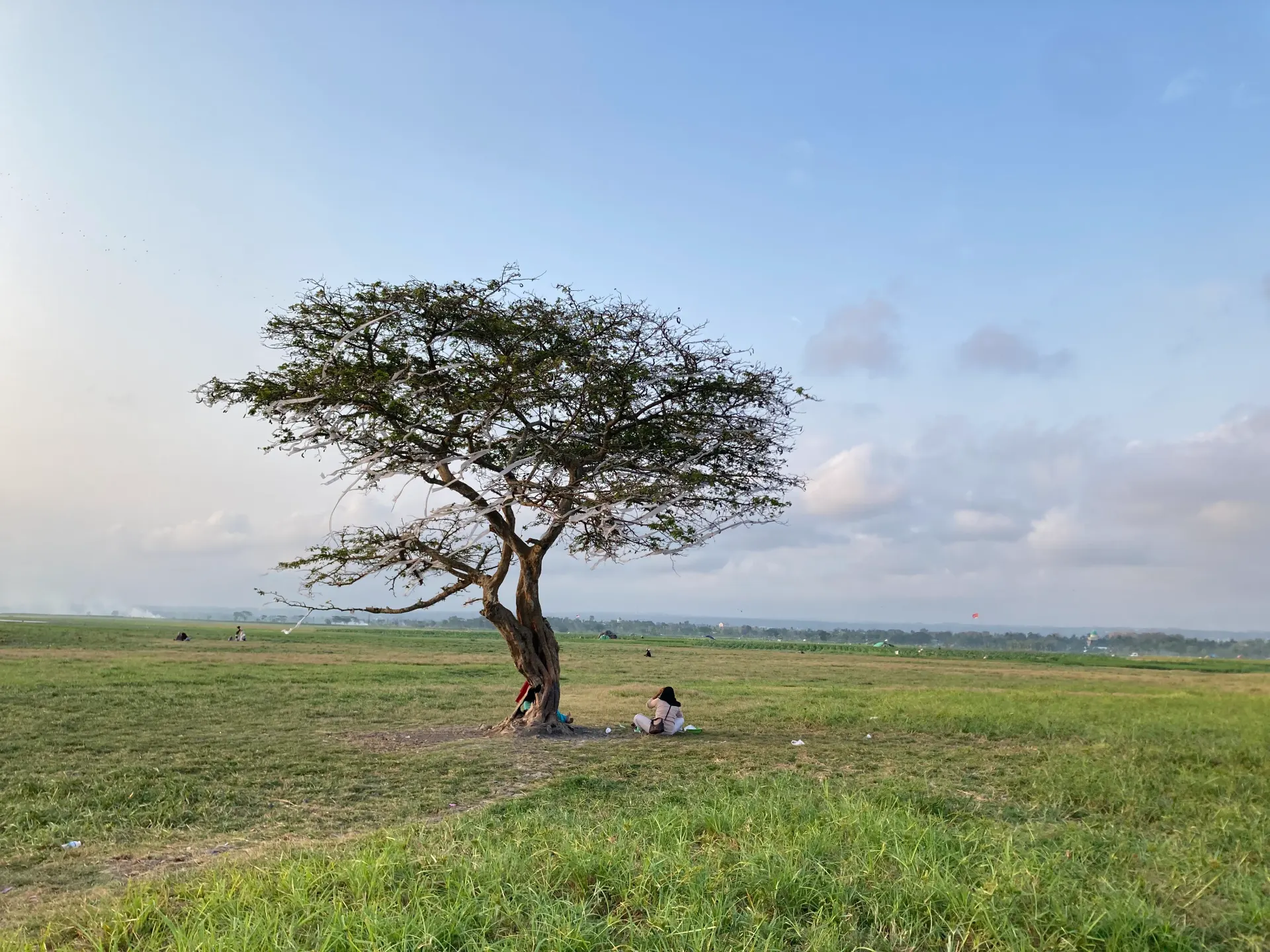 Savana Bale Tepak