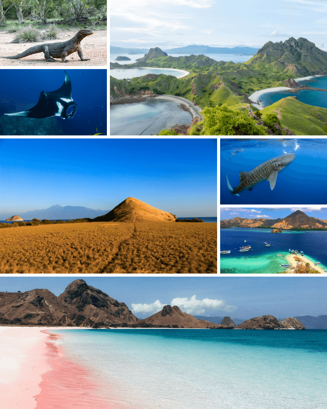 Lombok to Komodo 4D3N — Live on Board Cruise