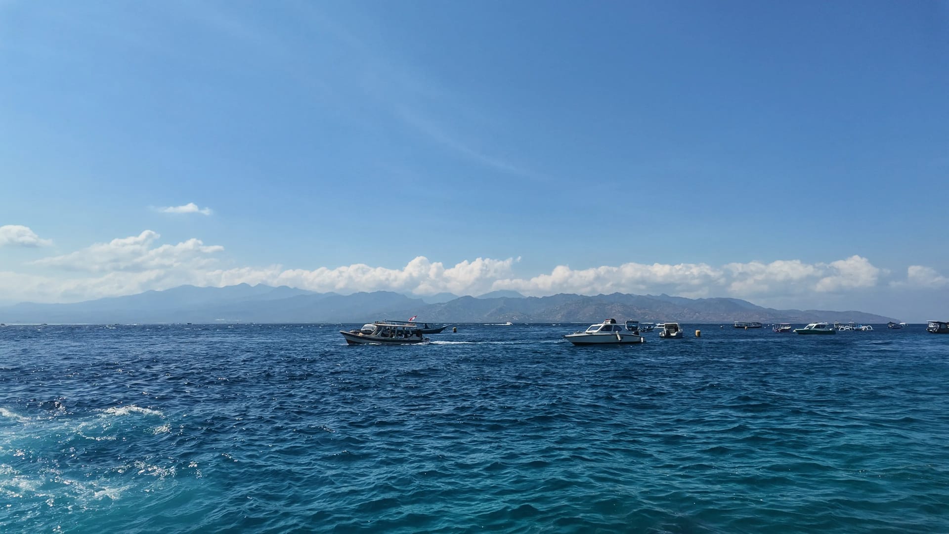 Laut