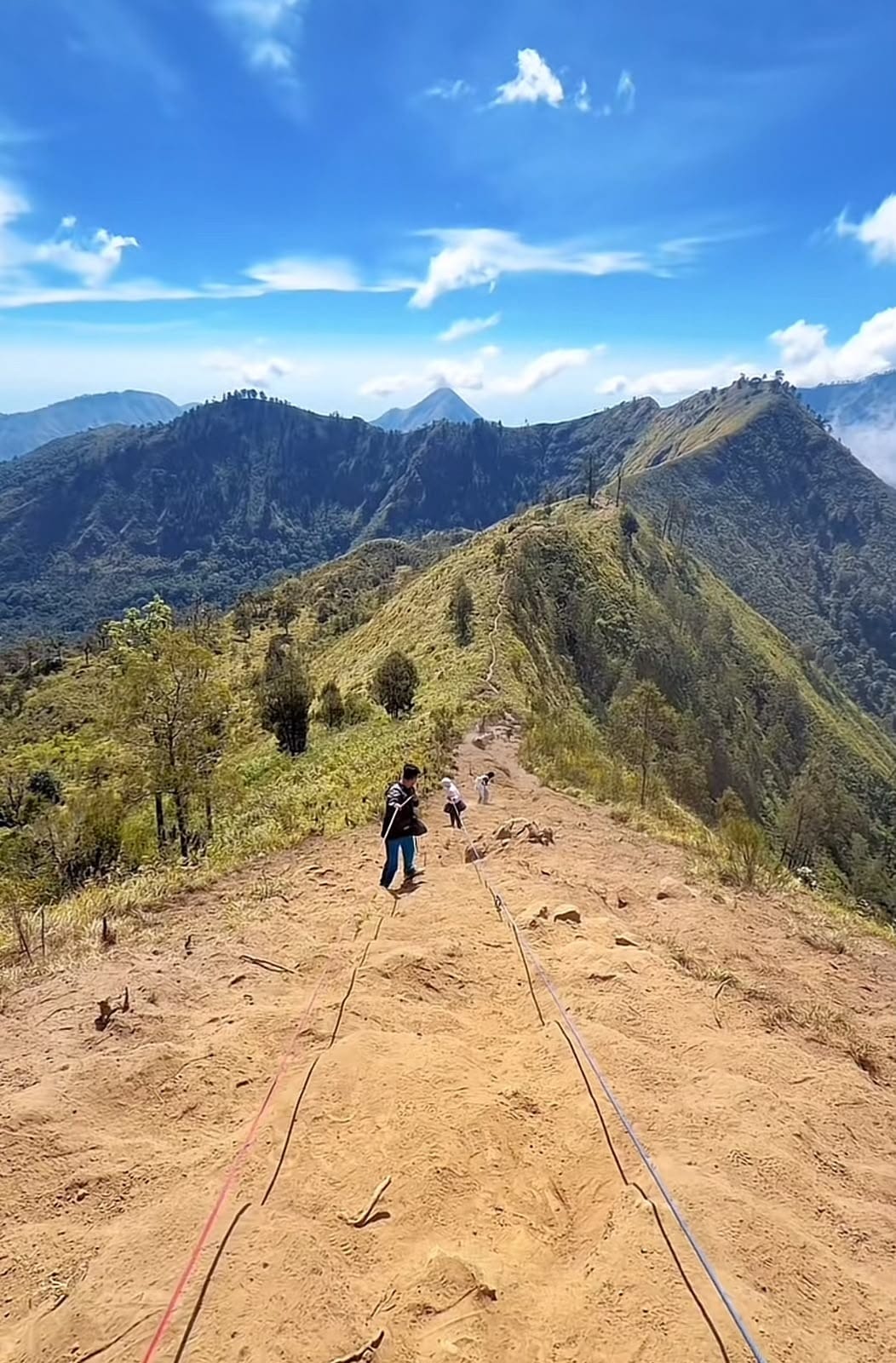 Jalur Summit Bukit Gedong