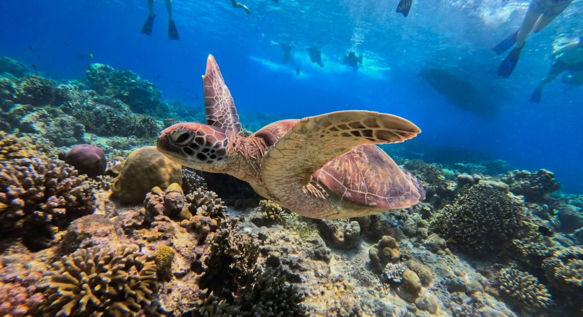 Best of Lombok Selatan + Gili Trawangan