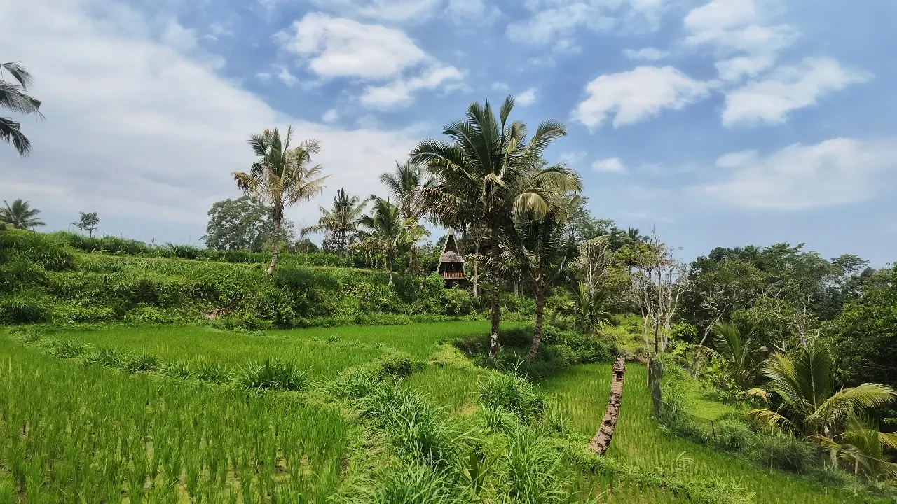 Tetebatu