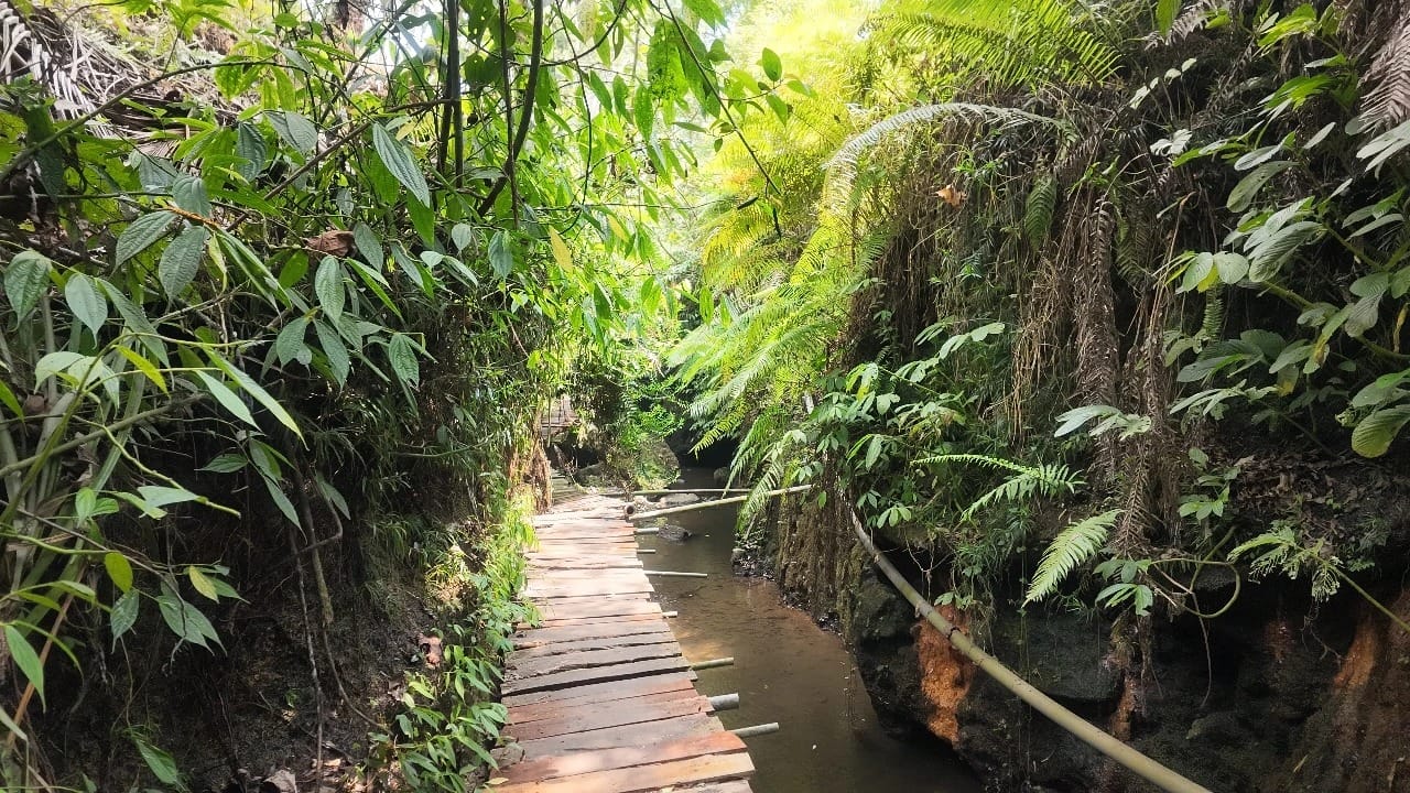 Air Terjun Sarang Walet