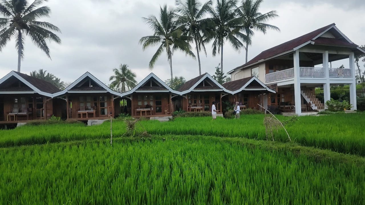 Homestay dengan view sawah