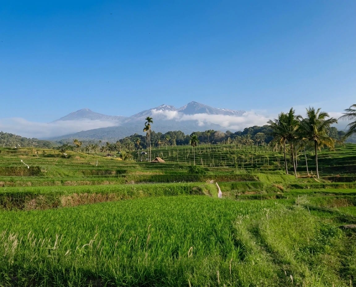 THE GREAT LOMBOK EXPERIENCE