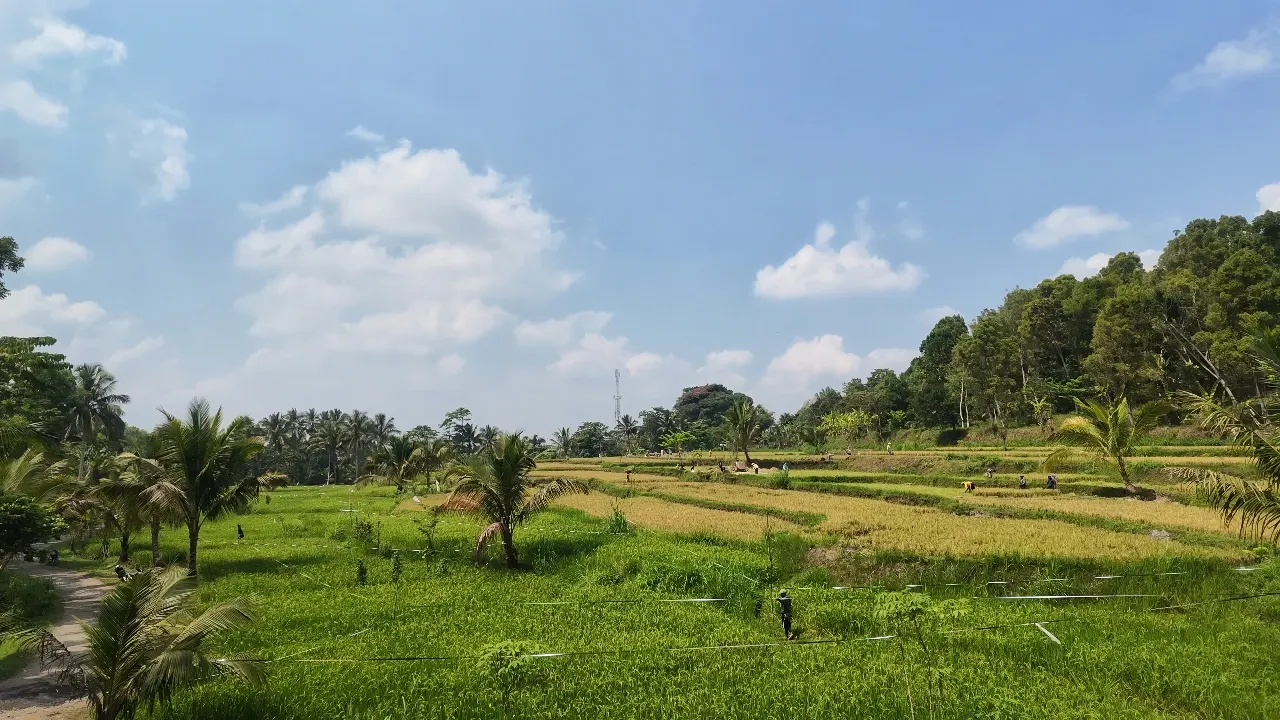 Desa Wisata Tetebatu