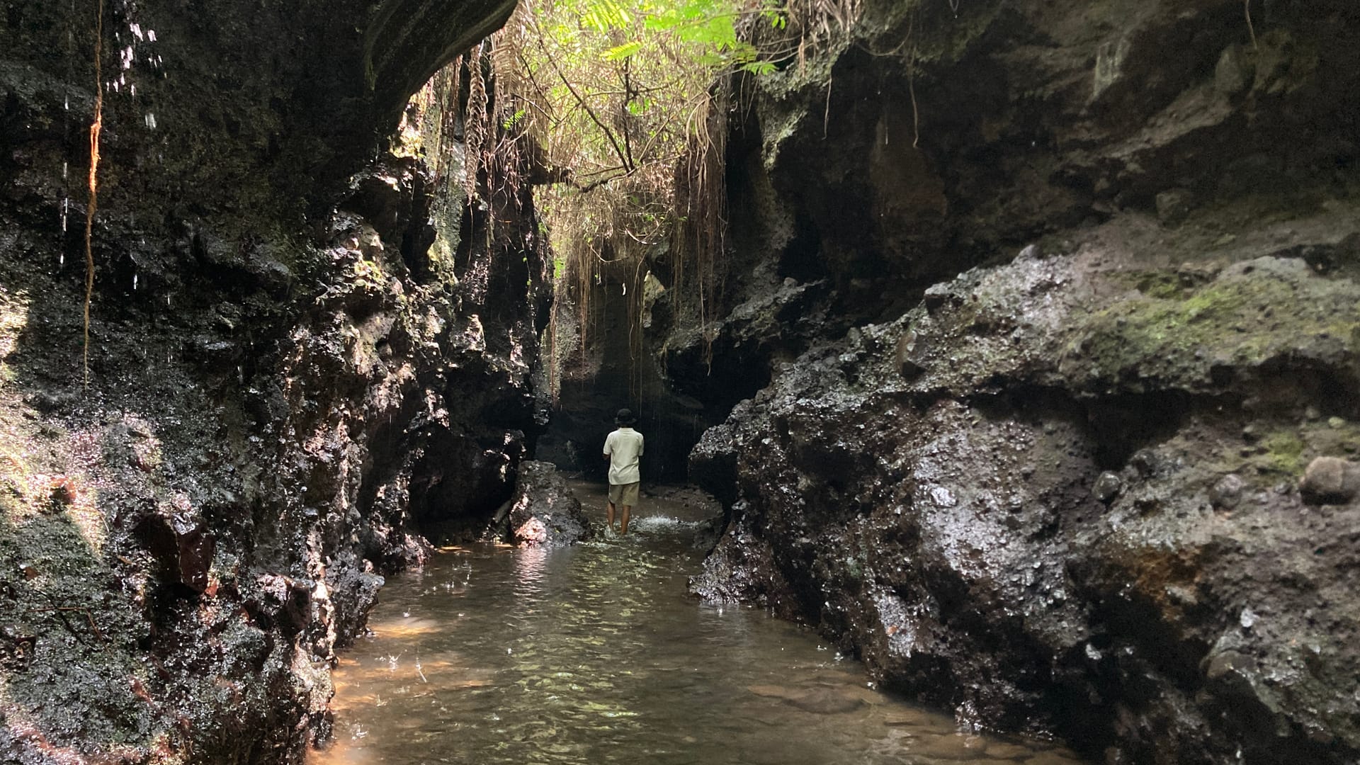 Air terjun sarang walet