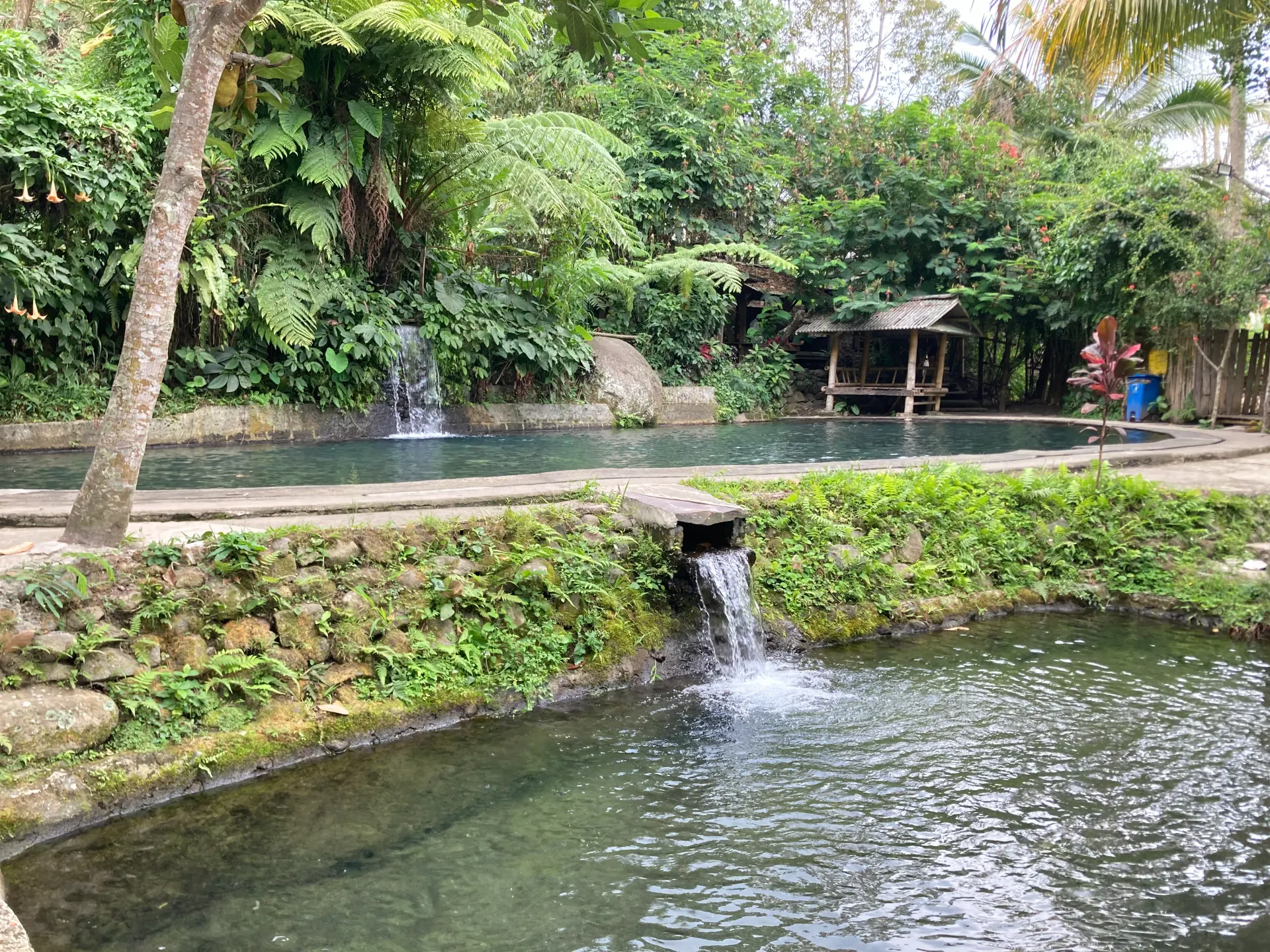Kolam Alam