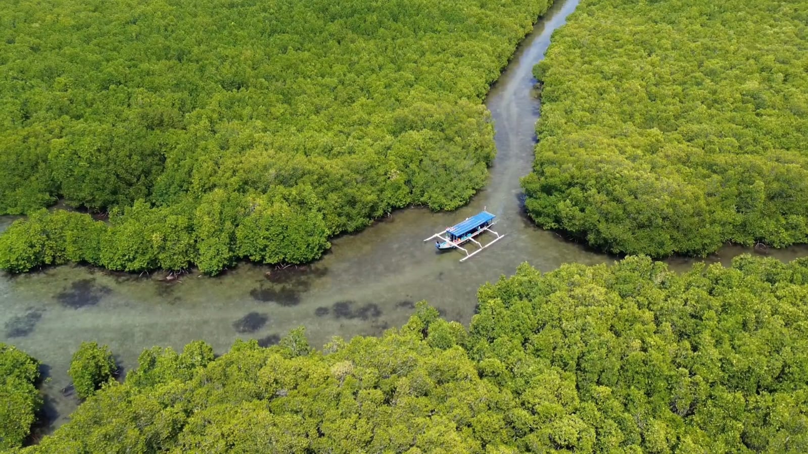 Gili Petangan