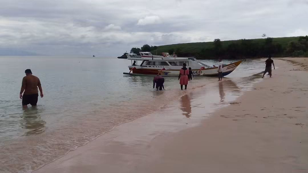 Pesisir Pantai Pink